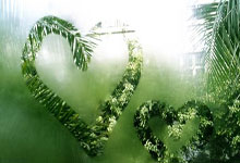 天涯长江论坛：畅谈长江文化的在线聚会