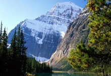 天涯问答论坛：聊聊知识碰撞，分享生活点滴，你还犹豫啥？